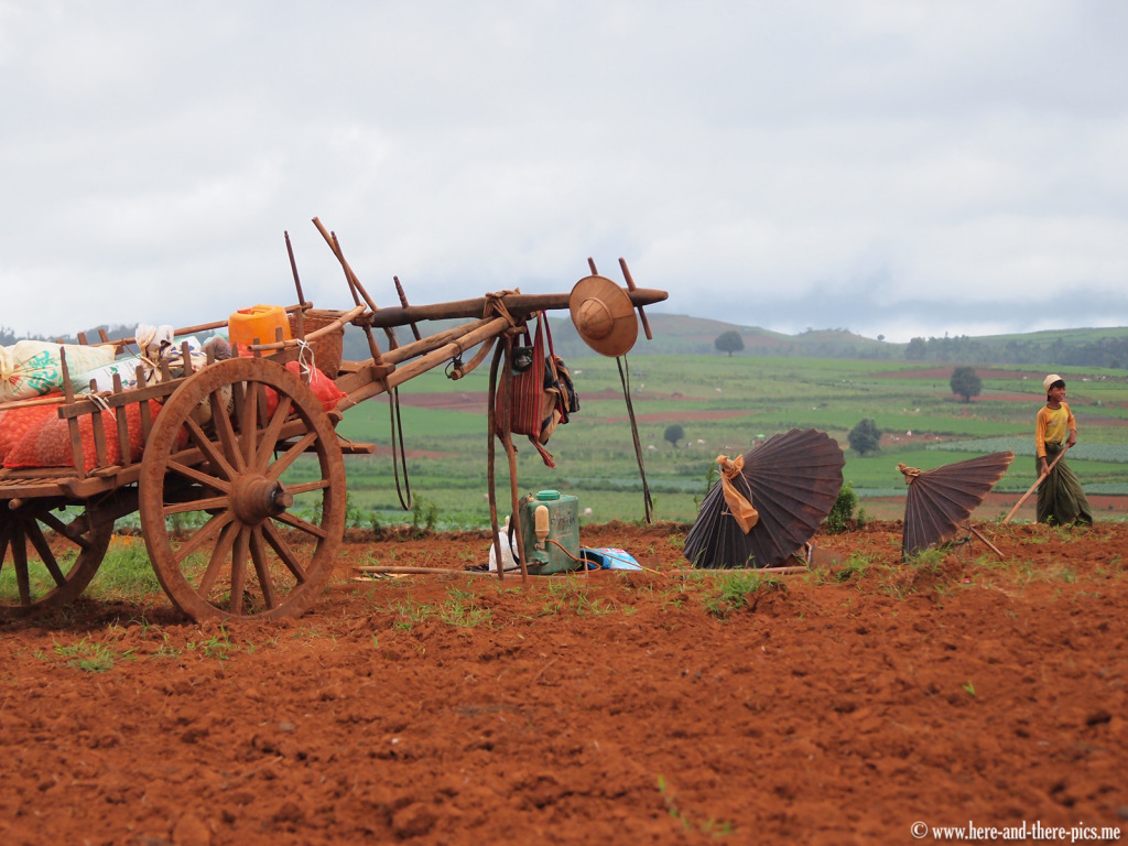 Farm work, from Kalaw to Pindaya, Myanmar
